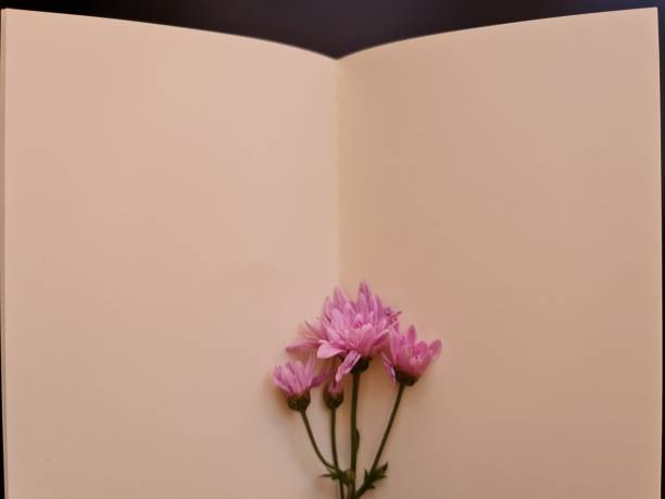 istock background with natural flower for message and inspiration 1344362633