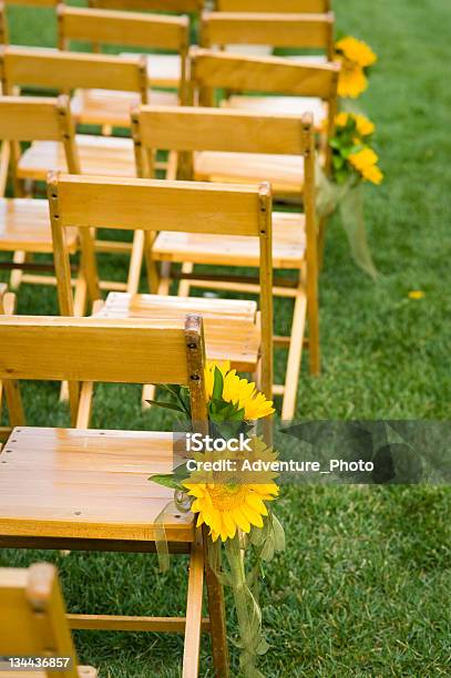 해바라기 및 리본 장식 결혼 예식 의자 On 잔디 0명에 대한 스톡 사진 및 기타 이미지 - 0명, 결혼 의식, 결혼식