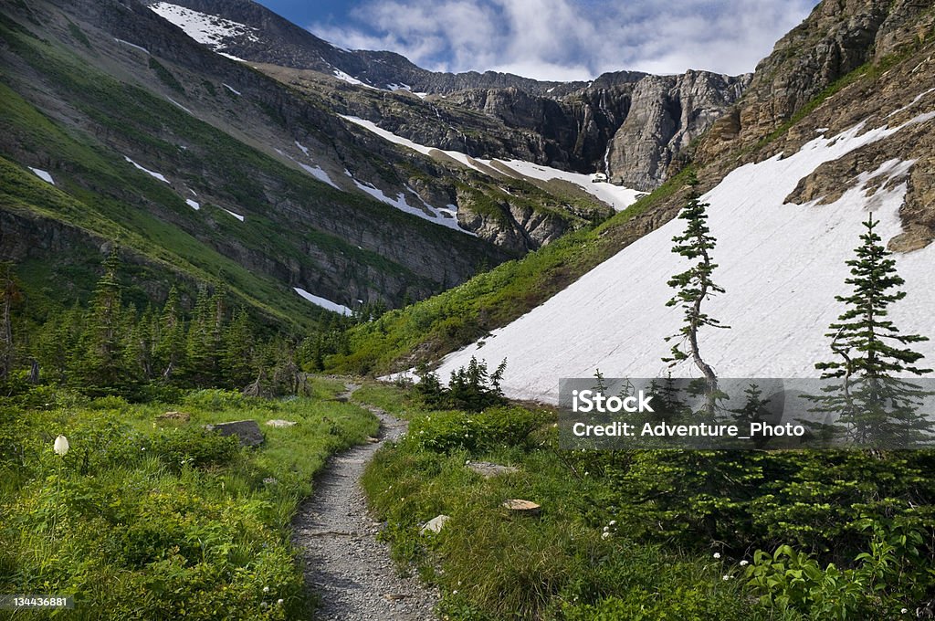Malownicze szlaku turystycznego w Parku Narodowym Glacier - Zbiór zdjęć royalty-free (Bez ludzi)