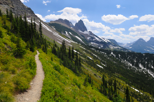 Scenic Hiking Trail in Glacier National Park