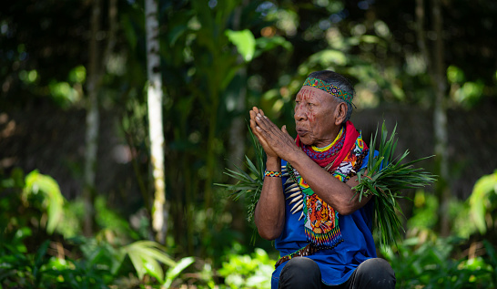 Nueva Loja, Sucumbios / Ecuador - September 2 2020: Elderly indigenous shaman of Cofan nationality praying with his hands joined  in the Amazon rainforest