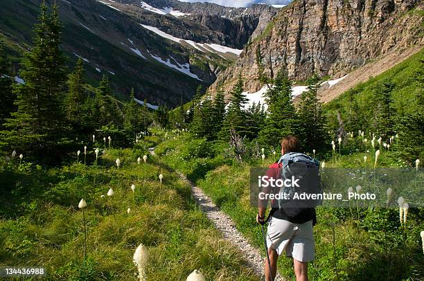 Photo libre de droit de Elle Possède Des Fleurs Sauvages Prairie Dans Le Parc National De Glacier banque d'images et plus d'images libres de droit de Montana - Ouest Américain