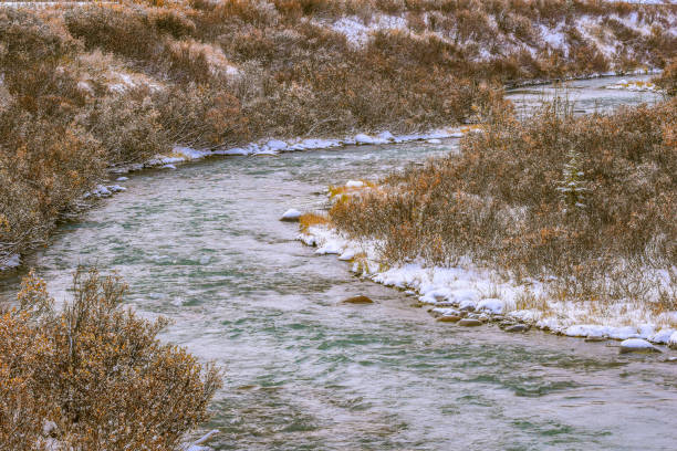 istock Gulkana River  - Winter in Alaska 1344370104