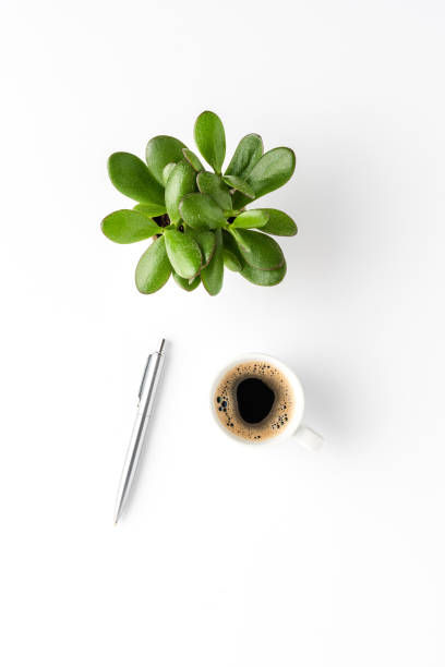 istock Office desktop concept with coffee, pen and small succulent. Top view 1344370262