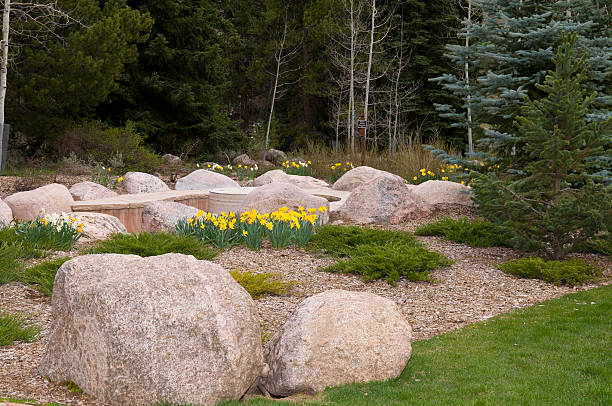 istock Rock Garden and Flowers in a Park 134437354