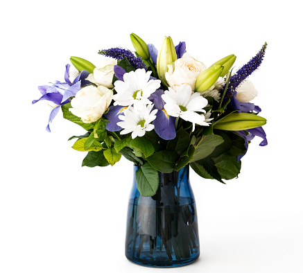 A DSLR photo of beautiful Bluebell flowers (Campanula) in a vase. Space for copy.