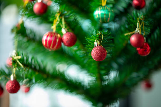 istock Beautifully Christmas Decorated bokeh background Home Interior With A Christmas Tree 1344376203