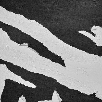 Estilo de collage de papel rasgado en blanco y negro, efecto de papel rasgado, fondo abstracto de textura, espacio de copia para texto. photo