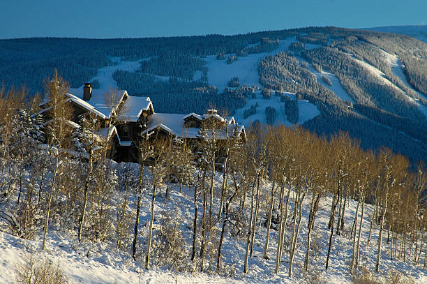 istock Alpine Ski In and Out Luxury Home with Mountains 134438113