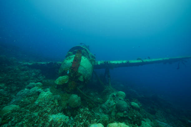 istock Underwater Scuba diver explore and enjoy in Palau 1344384709