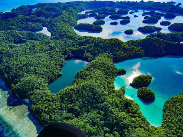 Palau- October 6, 2015: Palau is a beautiful island in the Philippine Sea, Northern Pacific Ocean. It is well-known for its race scenery, the Rock Islands. When you take the airplane over the Islands, you can see stunning view of  reefs, jungles, beaches, lagoons and  turquoise color sea waters, no words can describe the beauty of the \