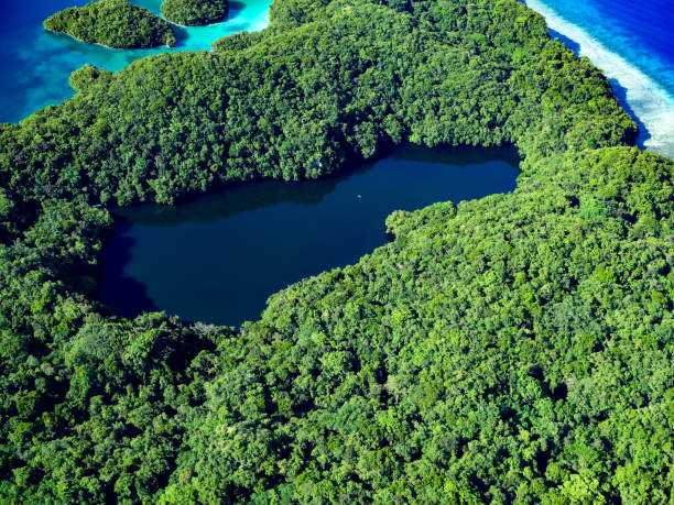 Aerial view Republic of Palau Aerial view Republic of Palau palau beach stock pictures, royalty-free photos & images