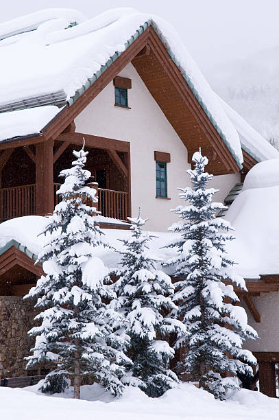 istock Frosted Snowy Trees in Front of Building 134438619