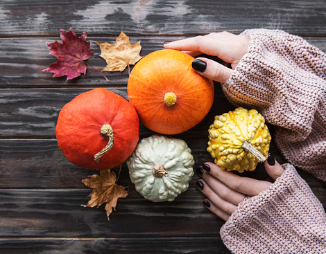 Female hands holding autumn pumpkins. Old wooden background