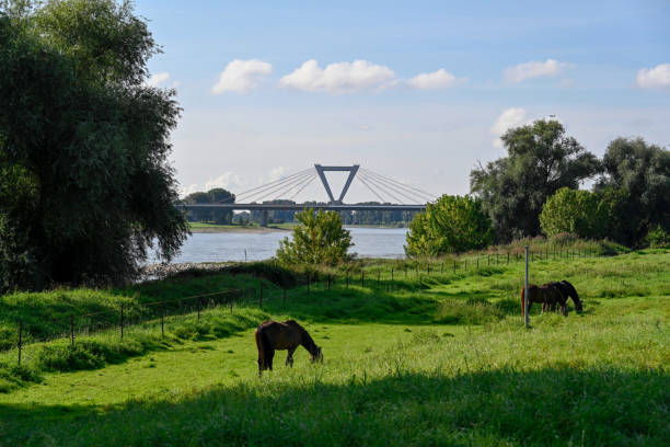 мост аэропорта дюссельдорфа - neuss стоковые фото и изображения