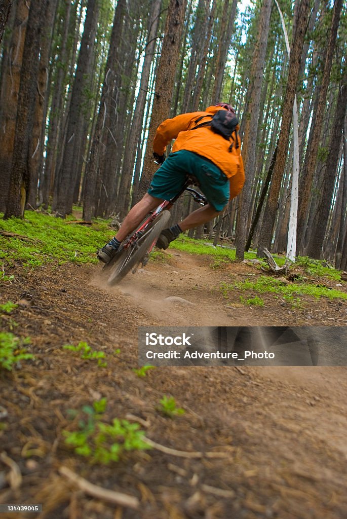 Andar de Bicicleta de montanha Singletrack nas montanhas - Royalty-free Andar de Bicicleta de Montanha Foto de stock