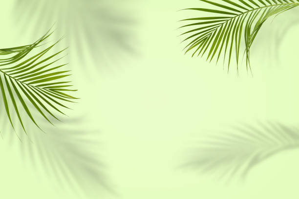 istock Background 