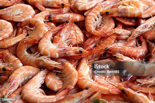 Los Camarones Frescos Foto de stock y más banco de imágenes de Alimento - Alimento, Animal, Camarón - Marisco