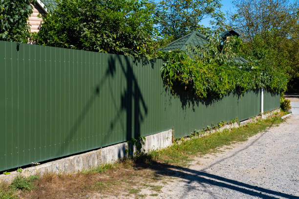 istock Green metal corrugated fence with growing greenery on top. 1344394432