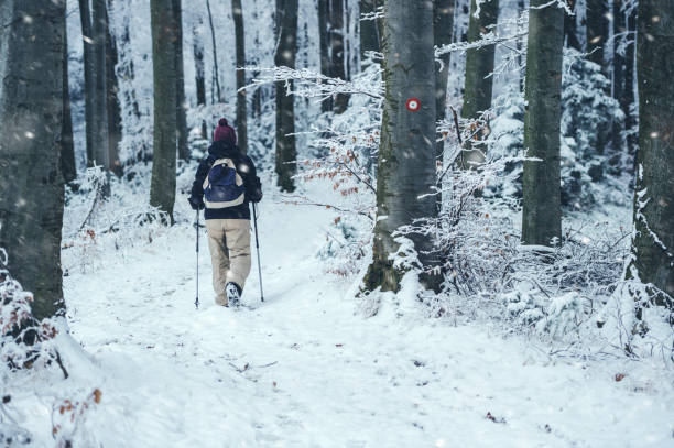 istock Woman hiking in a snowfall 1344394537