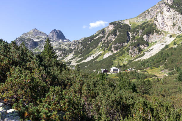 paesaggio della valle del fiume malyovitsa, monte rila, bulgaria - rila mountains foto e immagini stock