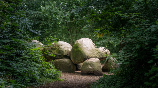 old so-called hunebed (dolmen; stonegrave) in the province of drenthe, netherlands - dolmen imagens e fotografias de stock