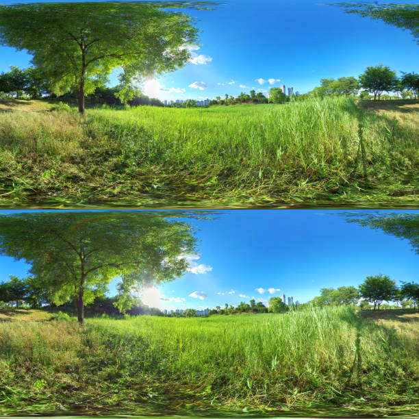 Ansan, South Korea - 7 June 2019. 3D Panorama 360 degree view in park. Forest and Park 360 image, VR AR content.