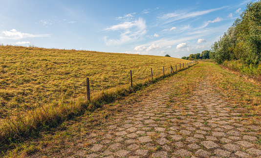 Path with concrete irregular shaped stones at the bottom of a Dutch dike. It is autumn and the grass and wild plants are already turning yellow and orange. But the leaves are still on the trees.