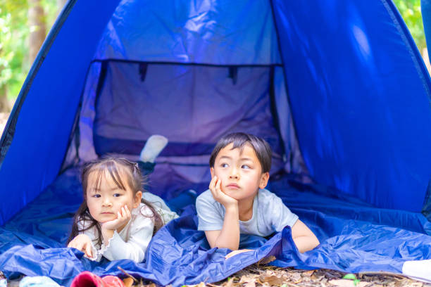 istock Family camping in the forest 1344403790