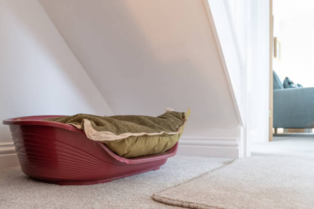 cesta de perro improvisada vacía vista en una escalera en una casa moderna. - pets bed bedroom animal fotografías e imágenes de stock