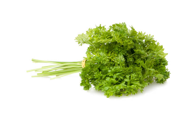 istock Fresh green parsley for salad isolated on the white 1344406750