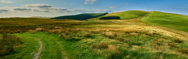 istock Old mining road from Glaspwll, Wales, UK 1344408413