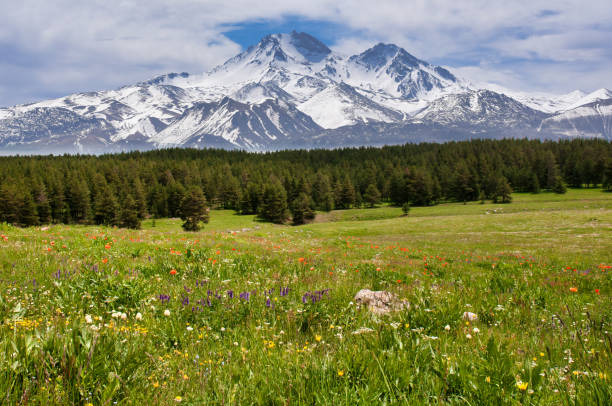 istock Beauty in Nature 1344409326