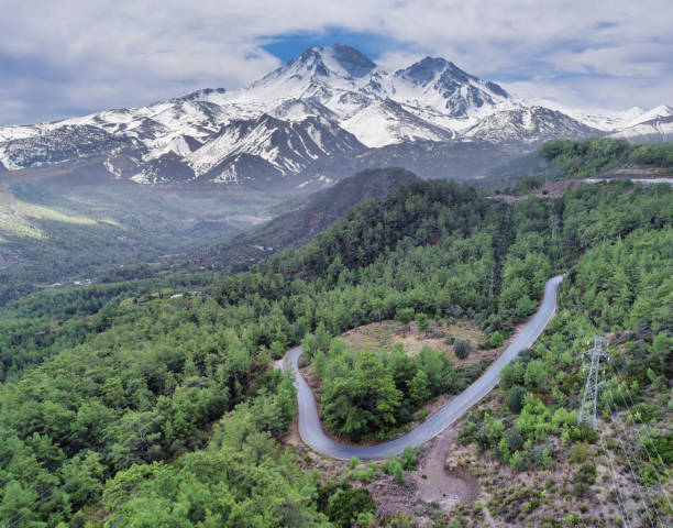 Green hills with snowy mountain view in background