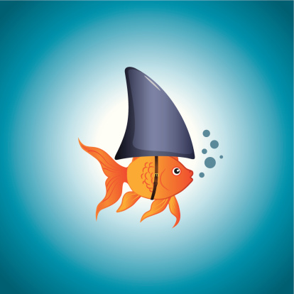 A cute little goldfish wearing a shark fin to scare predators away. Editable vector illustration.