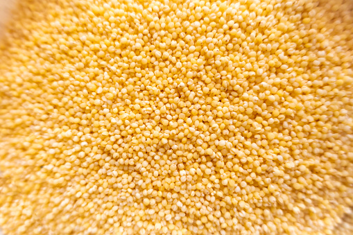 A bunch of food millet