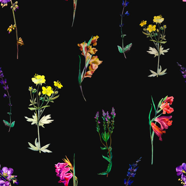 Wild flowers 8 Watercolor meadow flowers, vintage seamless pattern. Design for fabrics, textiles, wallpapers, backgrounds, covers, packaging, wrapping paper. plant png stock illustrations