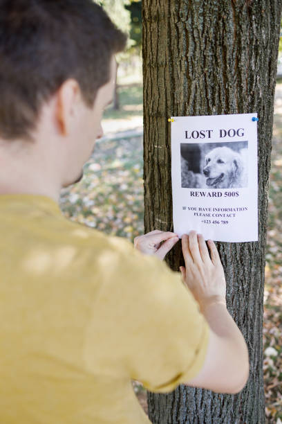 istock Pet owner nailing a lost dog poster to a tree 1344411679