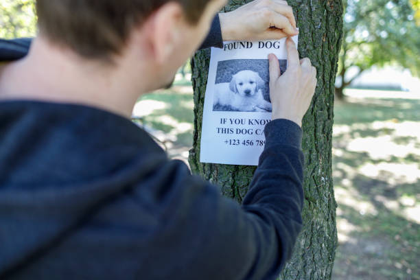 istock Man find a lost pet 1344411680