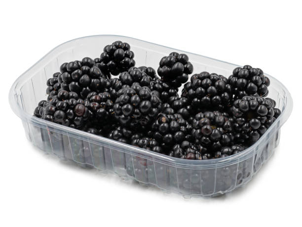 istock ripe blackberries in plastic bowl isolated on white background 1344411831