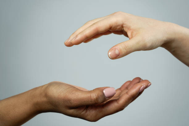 istock African and Caucasian female hands on gray background 1344411847
