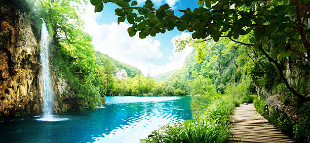 cascata nella foresta profonda - spring waterfall landscape mountain foto e immagini stock