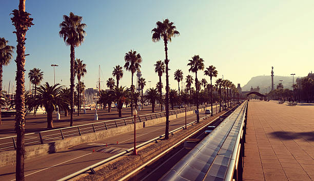 istock Boulevard promenade panorama in Barcelona 134441376