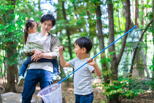 Father and children collecting insects