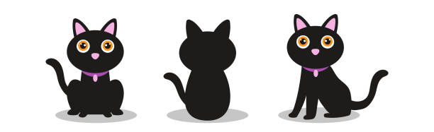 illustrations, cliparts, dessins animés et icônes de collection de 3 chats noirs d’halloween sur fond blanc - vector - silhouette animal black domestic cat