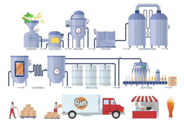Beer production process vector infographic. Brewery beer production line, distribution, sale. Brewing industry. Beer production process infographic, flat vector illustration. Brewery beer production line, bottling and packaging. Distribution, sale, consumption. Brewing industry. brewery stock illustrations