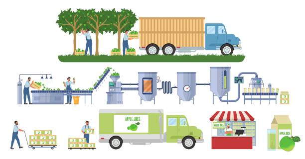 ilustrações, clipart, desenhos animados e ícones de infográfico vetorial de produção de suco de maçã. colheita de frutas. linha de processamento de fábrica de sucos, distribuição. indústria alimentar. - infográficos de indústria e manufatura