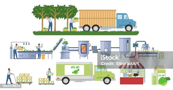 istock Apple juice production vector infographic. Fruit harvesting. Juice factory processing line, distribution. Food industry. 1344419875