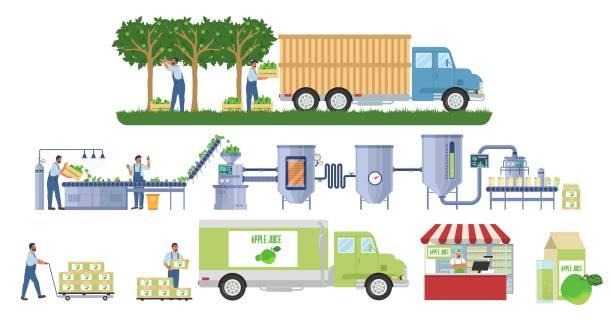 Apple juice production vector infographic. Fruit harvesting. Juice factory processing line, distribution. Food industry. Apple juice production infographic, flat vector illustration. Fruit harvesting, transport. Juice factory processing and packaging line. Distribution, sale, consumption. Food industry. industry and manufacturing infographics stock illustrations