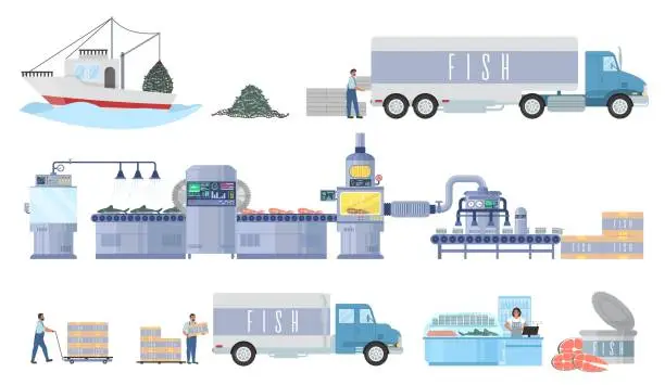 Vector illustration of Seafood production process vector infographic. Commercial fishing industry. Fish factory processing line. Distribution.